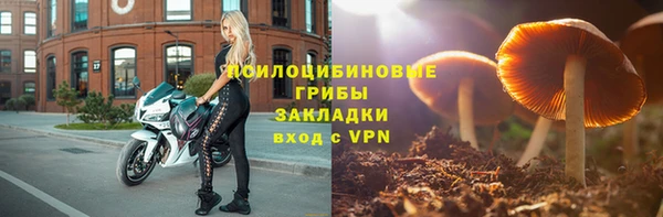 молекула духа Краснотурьинск