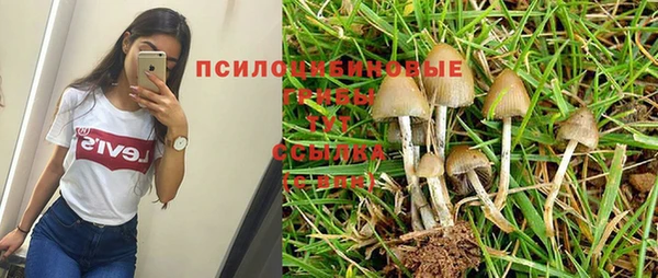 круглые Кукмор